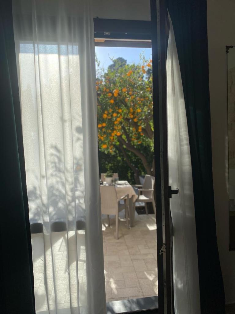 Casa Vacanza Il Mandarino Viagrande Dış mekan fotoğraf